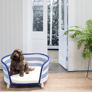 elegant blue and white rattan dog bed last one left Melbourne delivery