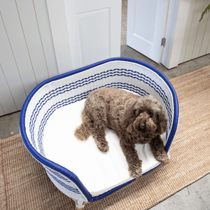 elegant blue and white rattan dog bed last one left Melbourne delivery